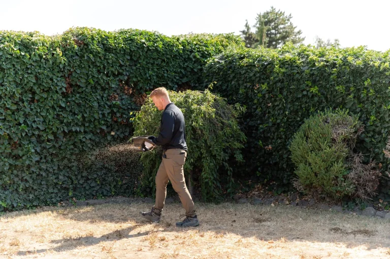 how landscaping can affect pest prevention
