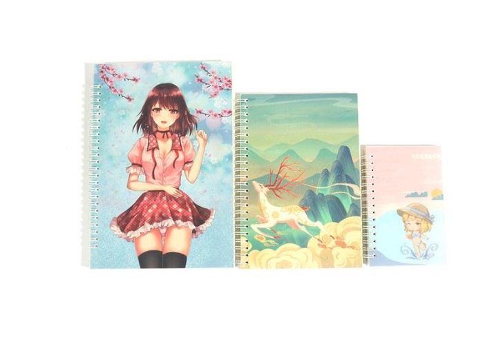 custom notebooks