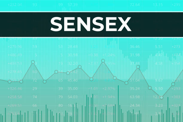 BSE Sensex 100