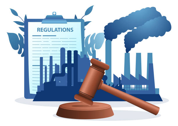 NGT pollution case lawyer