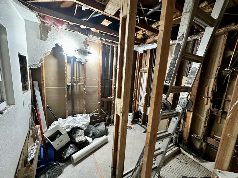 mold removal west covina