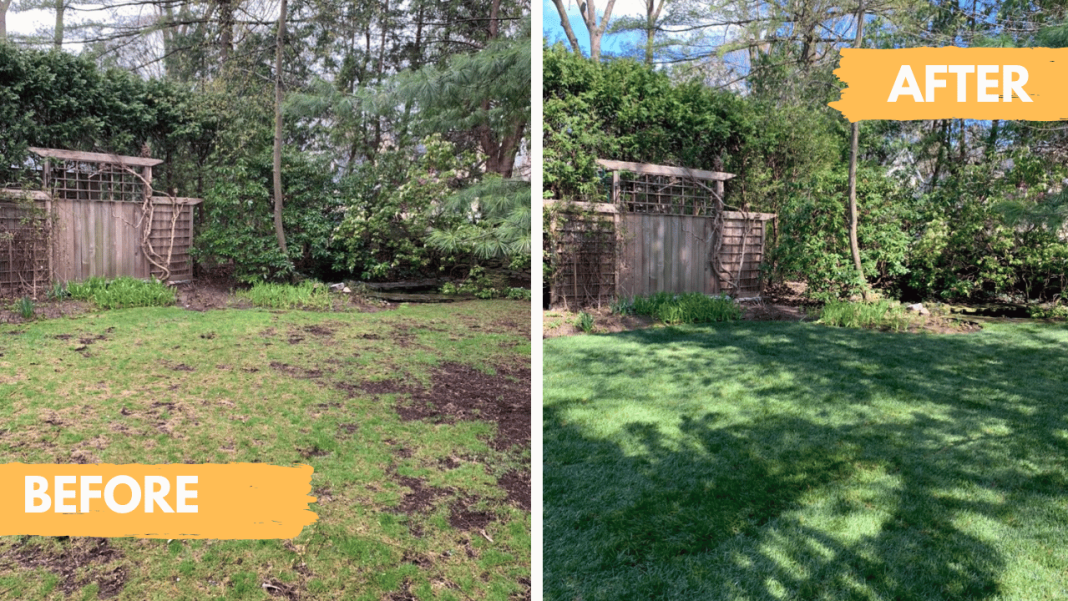 Burlington Sod Installation