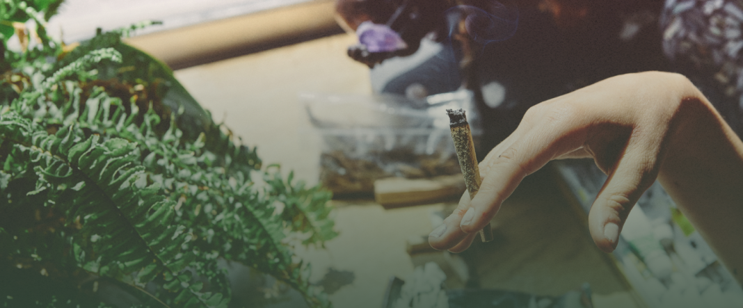 cannabis legalization