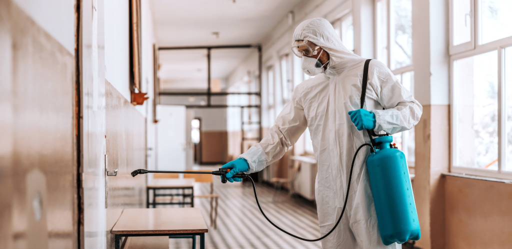 Pest Control Puyallup