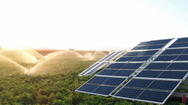 Solar Energy in Thailand