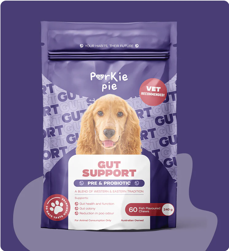 probiotics for dogs